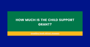 How Much is the Child Support Grant